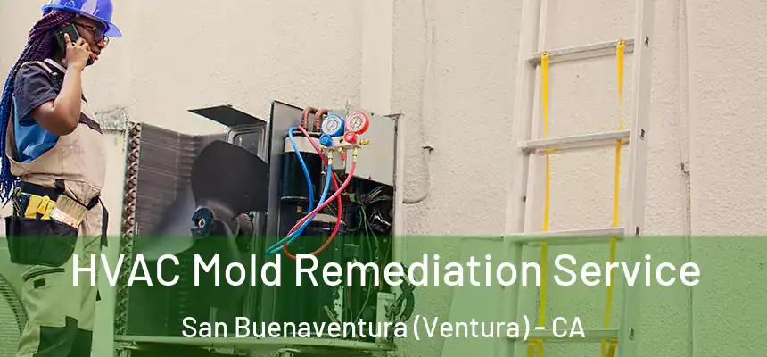  HVAC Mold Remediation Service San Buenaventura (Ventura) - CA