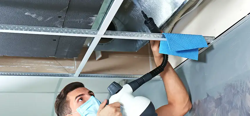 Our Air Duct Rodent Removal Services in San Buenaventura (Ventura), CA