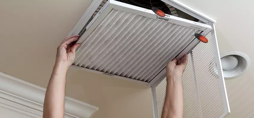 Our Insect Removal from Air Ducts Services in San Buenaventura (Ventura), CA