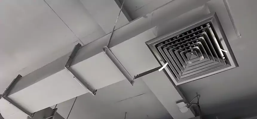 Our Pest Removal From Ducts Services in San Buenaventura (Ventura), CA