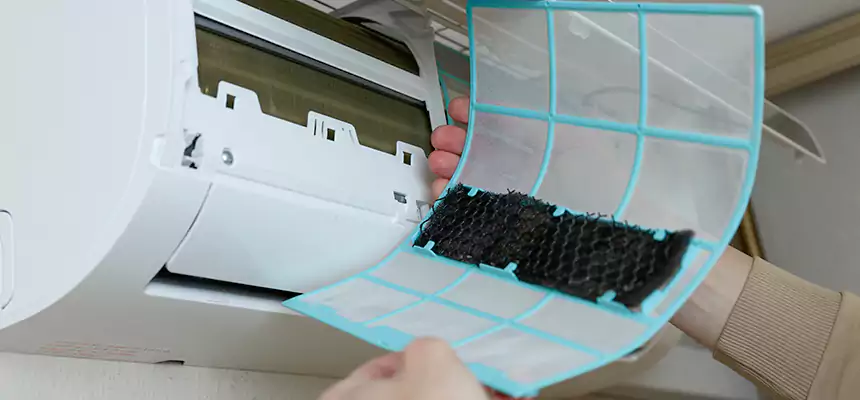 Gentle Ductwork Odor-Control Pet Dander Duct Cleaning in San Buenaventura (Ventura), CA