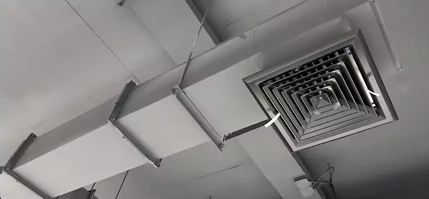 Our Rodent Droppings In Vents Services in San Buenaventura (Ventura), CA