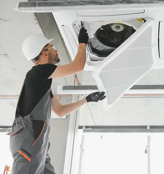 About Air Duct Rodent Removal in San Buenaventura (Ventura), CA