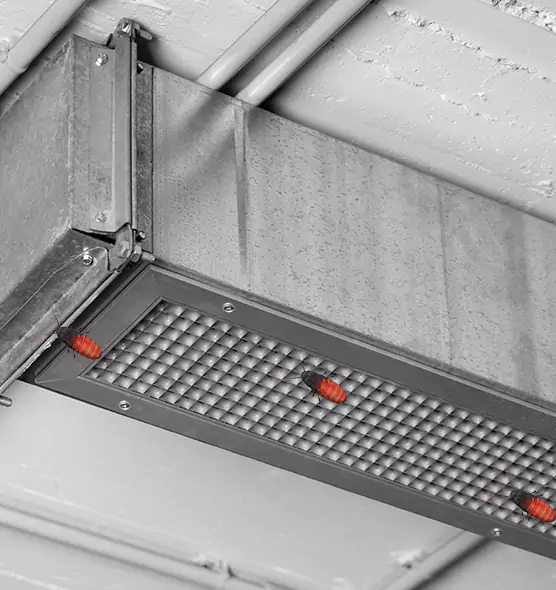 Affordable Insect Removal from Air Ducts in San Buenaventura (Ventura), CA