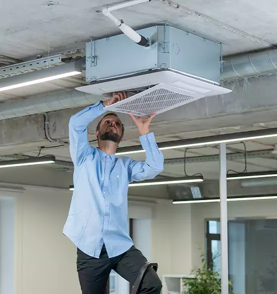 Advanced Rodent Droppings In Vents in San Buenaventura (Ventura), CA