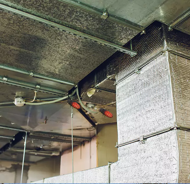 Why Homeowners & Businesses Trust Us in San Buenaventura (Ventura), CA?