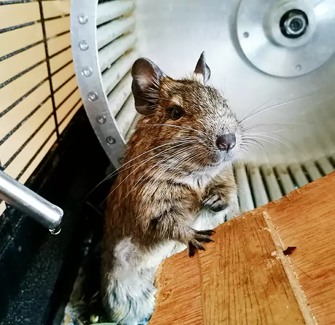 Why Homeowners & Businesses Trust Us San Buenaventura (Ventura), CA?