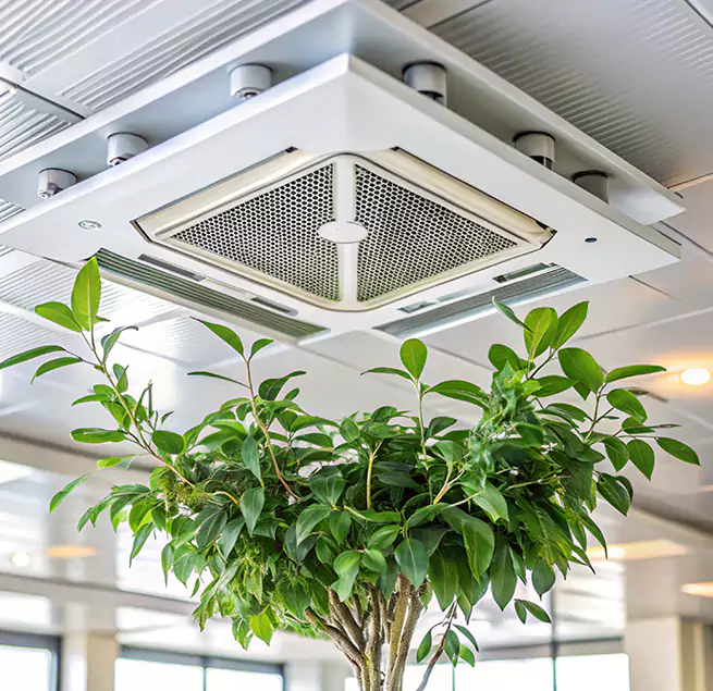 Why Homeowners & Businesses Trust Us in San Buenaventura (Ventura), CA