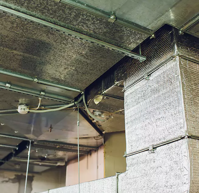 Why Homeowners & Businesses Trust Us in San Buenaventura (Ventura), CA?